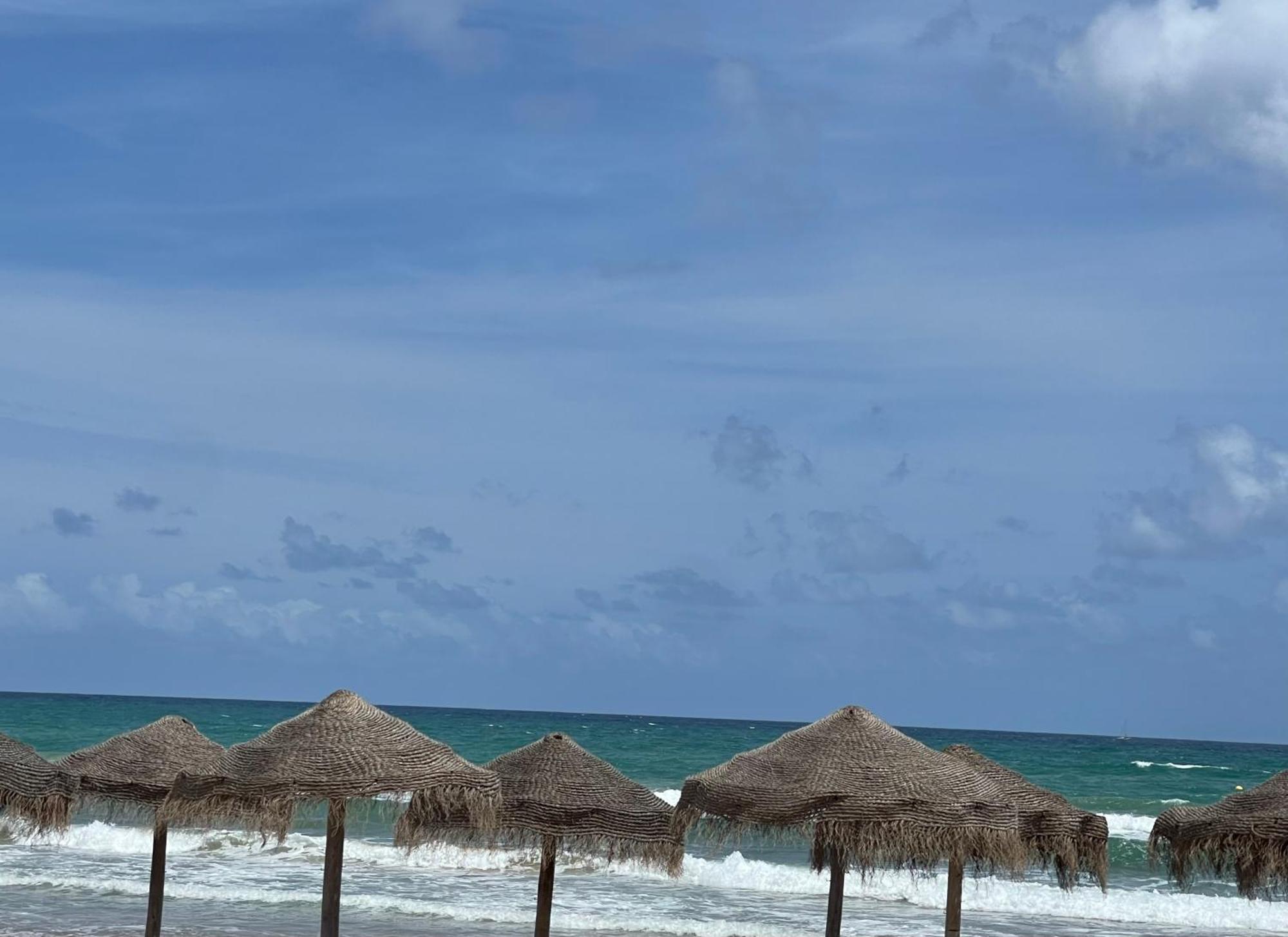 Beach Apartament In 托雷维耶哈 外观 照片